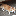 Waffles Davincij15's Cat