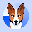 Basenji BENJI