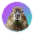 Capybara CAPY Capybara CAPY