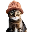 catwifhat CWIF