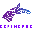 DeFiHorse DFH