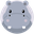 HippoFinance HIPPO HippoFinance HIPPO