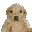 Perro Dinero JOTCHUA Perro Dinero JOTCHUA